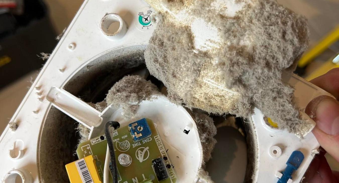 Faulty Bathroom Fans